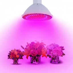LED žiarovka "Grow" pre pestovanie rastlín E27/5W 400lm 72LED SMD2835 (K376)